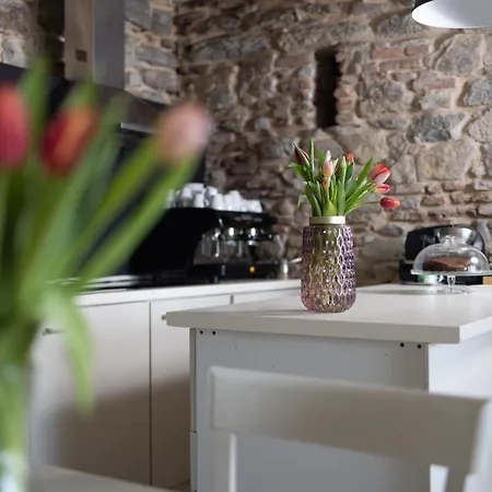 Oda ve Kahvaltı Casale Raffaello 4*